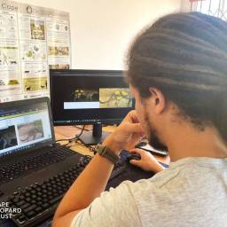 Analysing leopard images